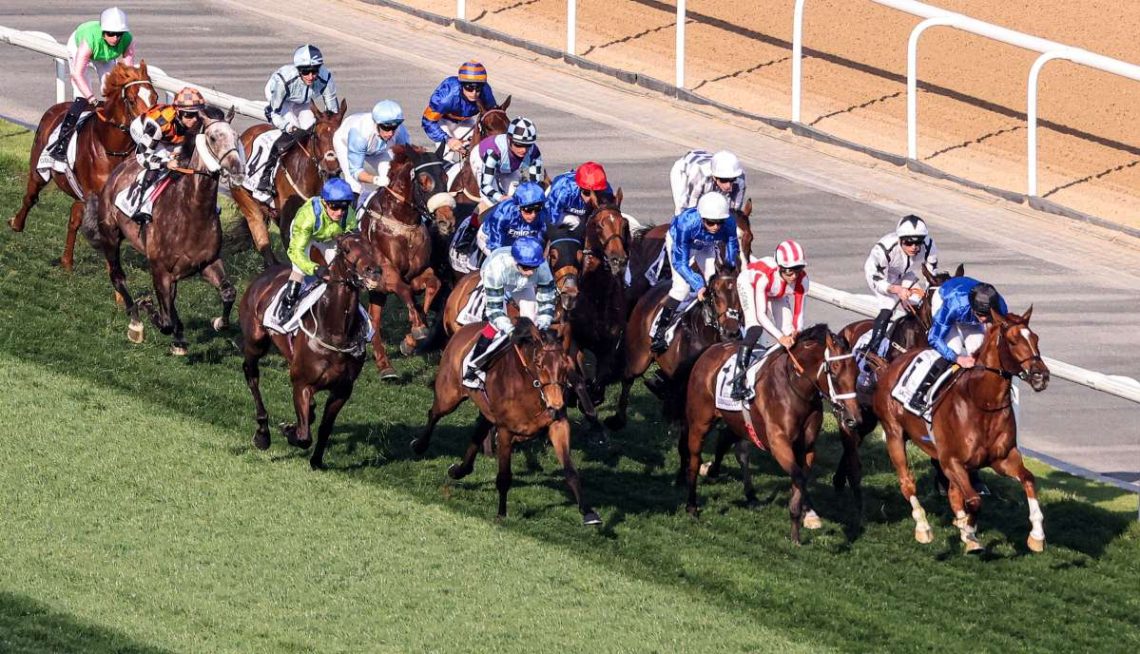 119 horses from 15 countries to compete in Dubai World Cup Asian Lite UAE